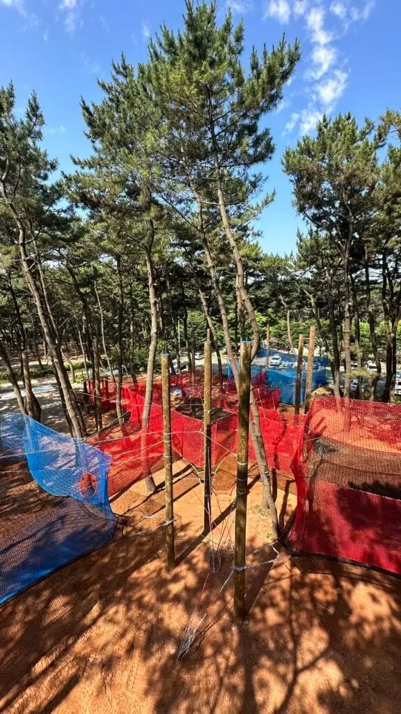 Síťové hřiště v Jižní Korea, Seocheon